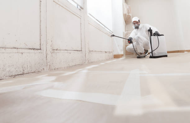 24/7 Emergency Attic Mold Removal experts in Burke, VA