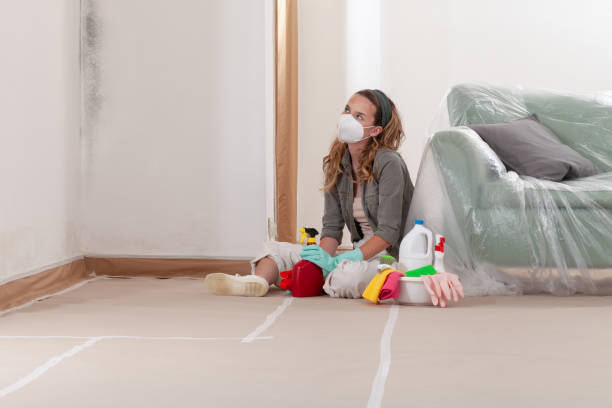 Trusted Mold Inspection service in Burke, VA - Cheap Mold Removal